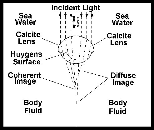 Earth History Research Center