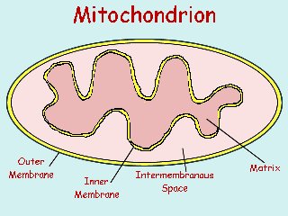 Earth History Research Center