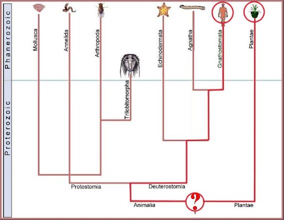 Earth History Research Center