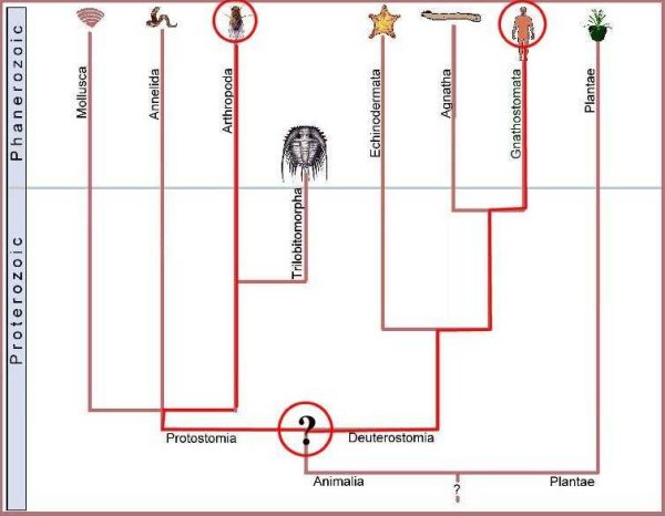Earth History Research Center