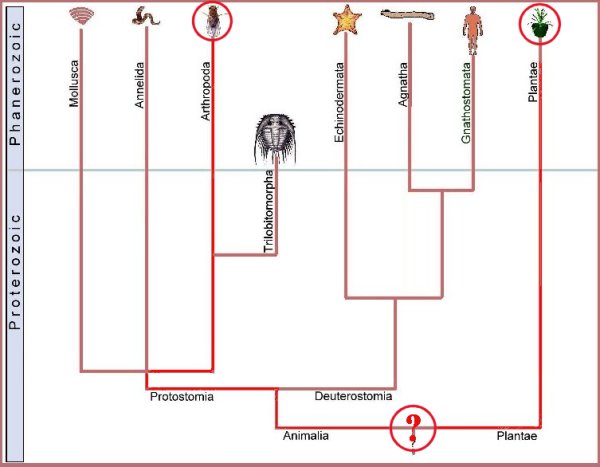 Earth History Research Center