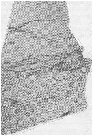 Earth History Research Center