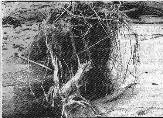 Earth History Research Center