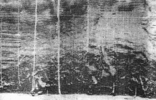 Earth History Research Center