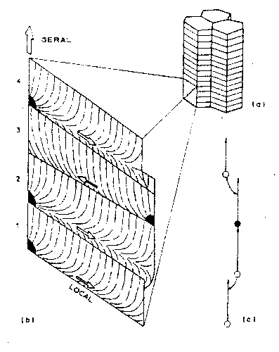 Earth History Research Center
