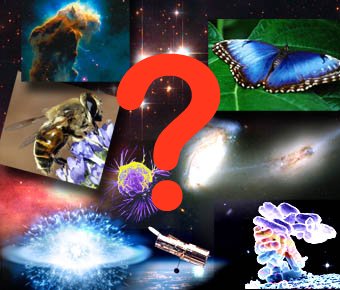Radiometric dating questions and answers-in-Tauwehar
