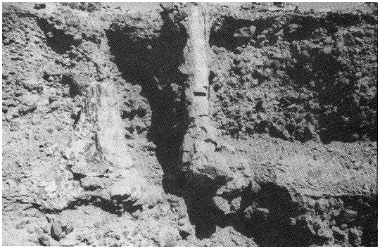 Earth History Research Center