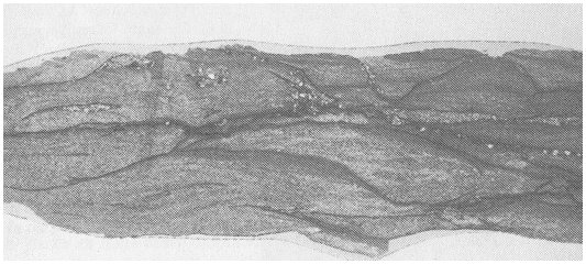 Earth History Research Center