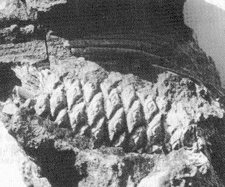 Earth History Research Center