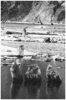 Earth History Research Center