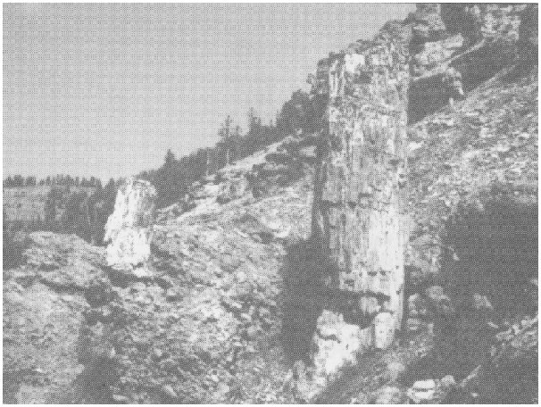 Earth History Research Center